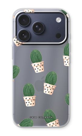 Kaktus rosa