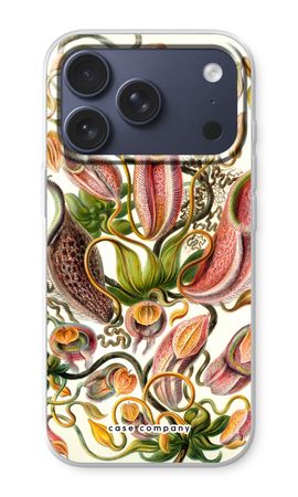 Haeckel Nepenthaceae