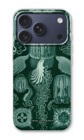 Haeckel Cubomedusae