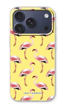 Flamingos yellow