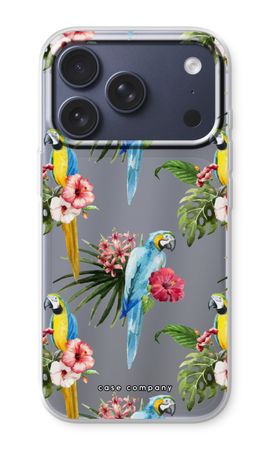 Colourful parrots