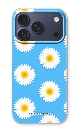 Daisies