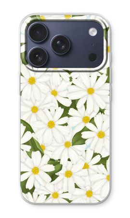 Summer Daisies