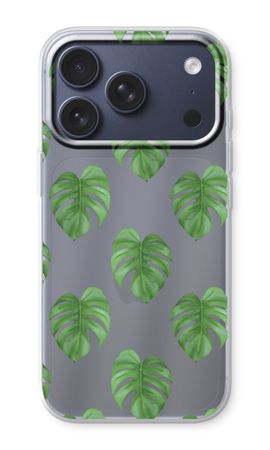 Monstera leaves