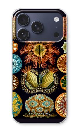 Haeckel Ascidiae