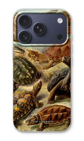 Haeckel Chelonia