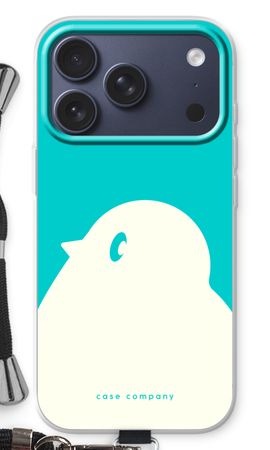 BIG Robin 2