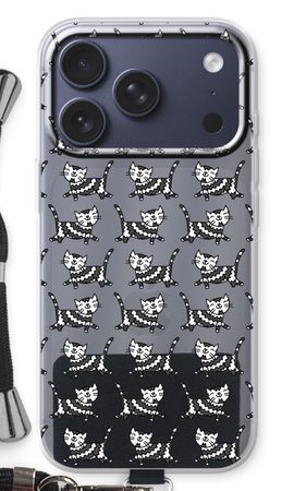 Black cat