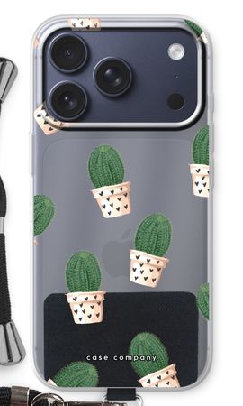 Cactus rose
