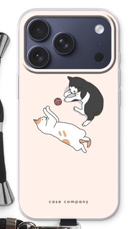Playing cats