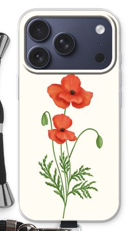 Red poppy