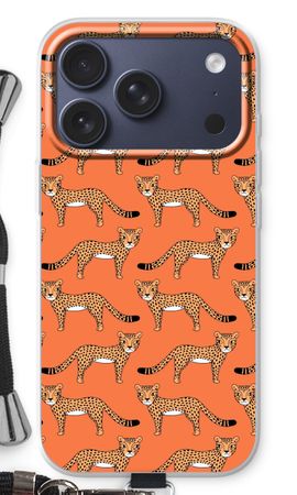 Cheetah