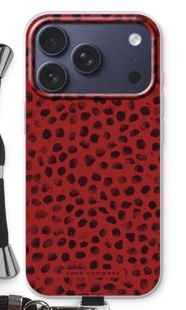 Ladybird Paint