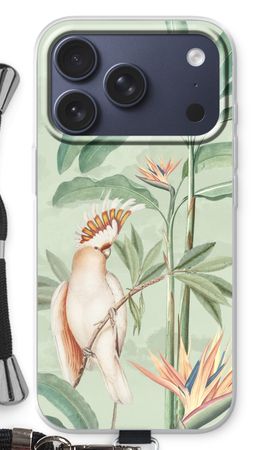 Tropical Parrot