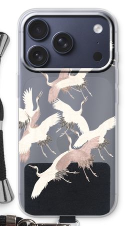 Japanese Crane Birds