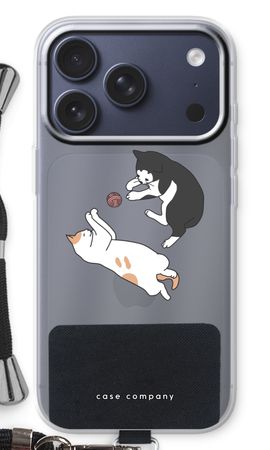 Playing cats