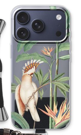 Tropical Parrot
