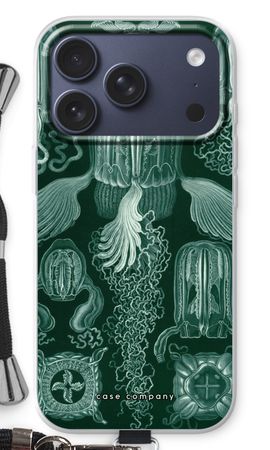 Haeckel Cubomedusae