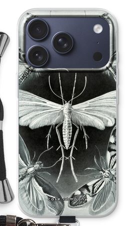 Haeckel Tineida