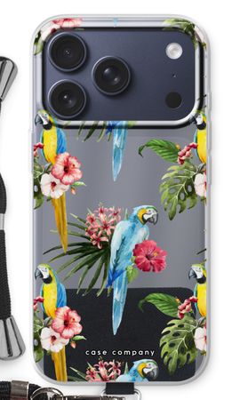 Colourful parrots