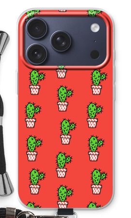 Mini cactus