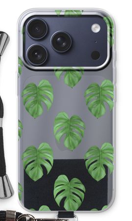 Monstera leaves
