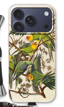 Carolina Parrot