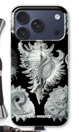 Haeckel Prosobranchia