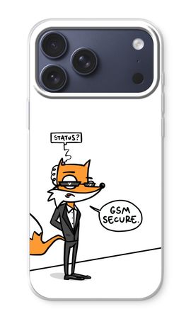 GSM secure