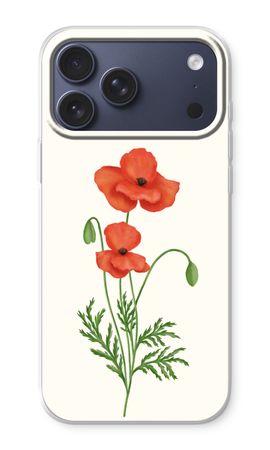 Red poppy