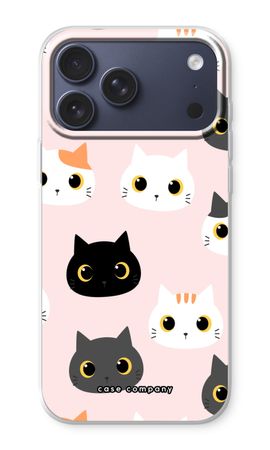 Katzen