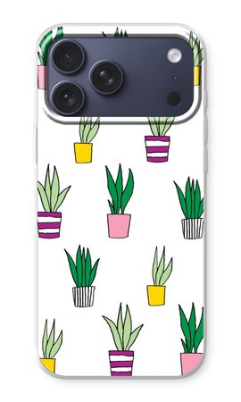 Sanseveria