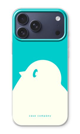 BIG Robin 2