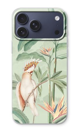 Tropical Parrot