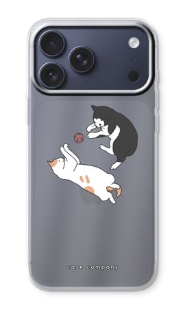 Spielende Katzen