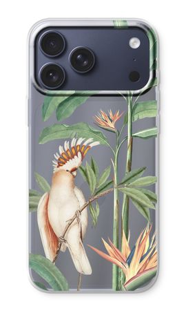 Tropical Parrot