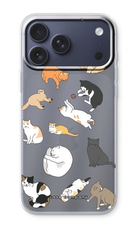 Cats