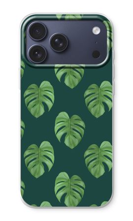 Monstera leaves