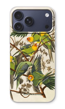 Carolina Parrot