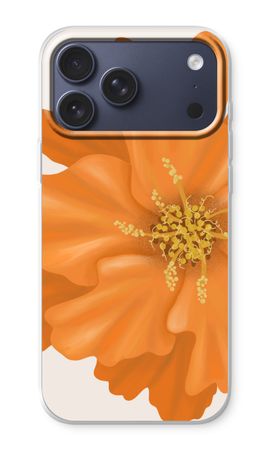 Orange Ellila flower