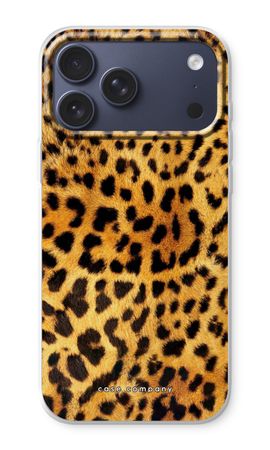 Gepard