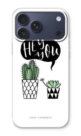 Hey you cactus