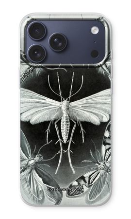 Haeckel Tineida
