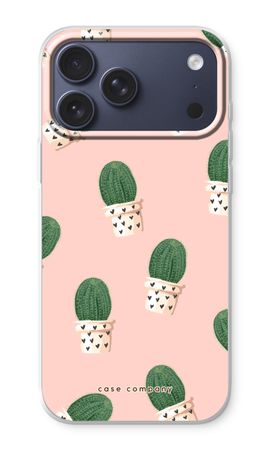 Kaktus rosa