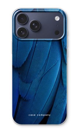 Pfau