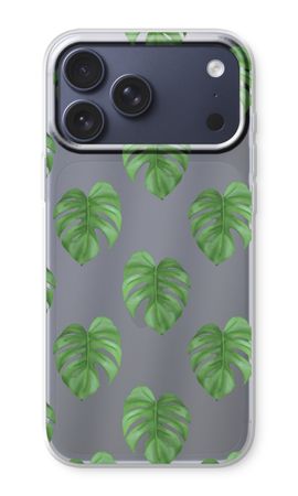 Monstera leaves
