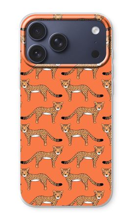 Cheetah