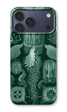 Haeckel Cubomedusae