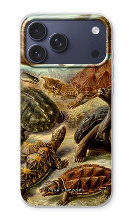 Haeckel Chelonia