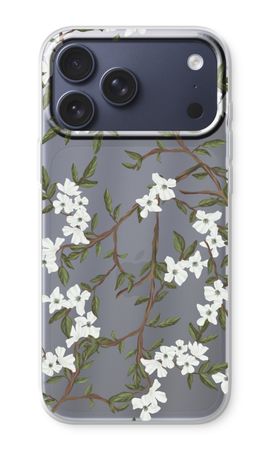 Blossoming spring
